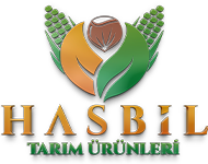 Hasbil Fındık