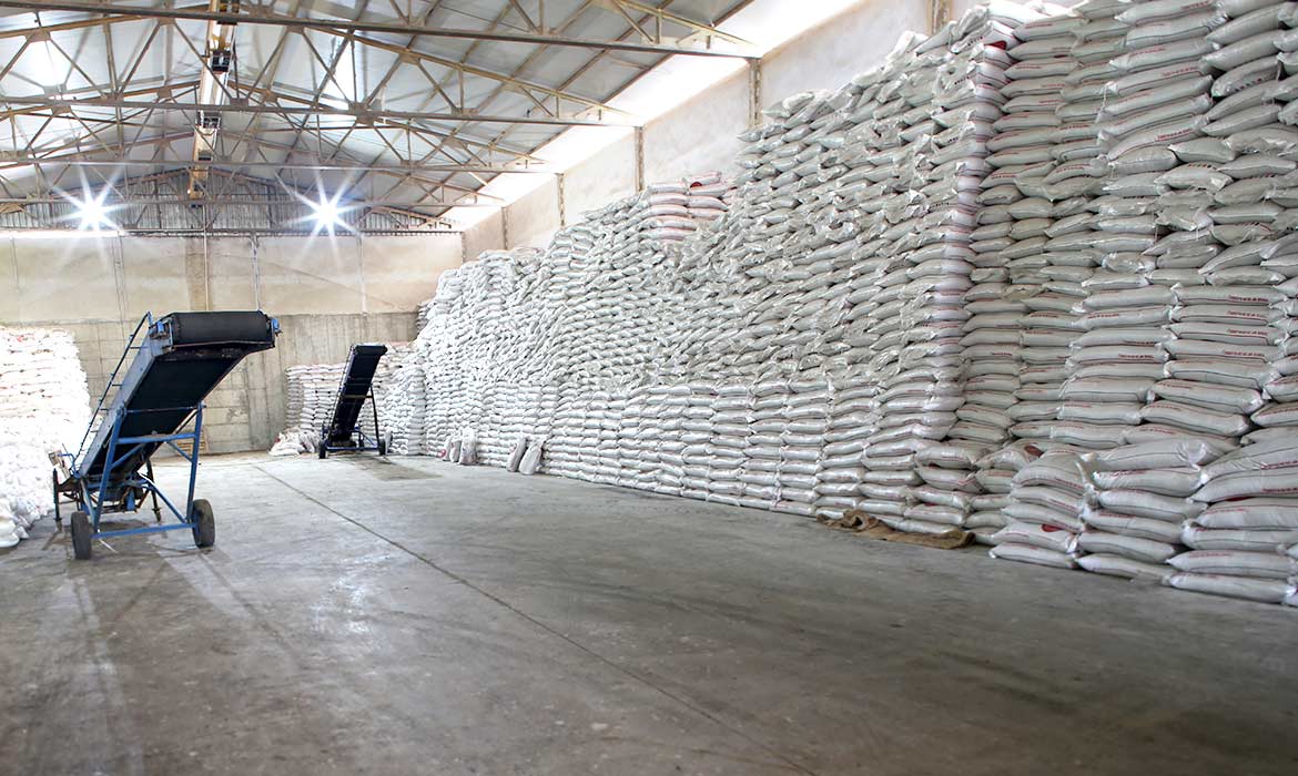 Söğütlü Shelled Hazelnut and Corn Drying Facility